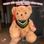 Gấu Teddy Tốt Nghiệp 23cm Khăn Vàng Có Thêu Tên Cá Nhân Hóa - Set Quà Tặng Kèm Túi Quà Thiệp Và Rơm Trang Trí