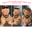 Gấu Teddy Tốt Nghiệp 23cm Khăn Vàng Có Thêu Tên Cá Nhân Hóa - Set Quà Tặng Kèm Túi Quà Thiệp Và Rơm Trang Trí