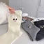 Set 5 Đôi Tất/ Vớ Cổ Cao Hoạ Tiết Đôi Mắt Viền Bèo Cute Dễ Thương Cho Nữ LOTt02