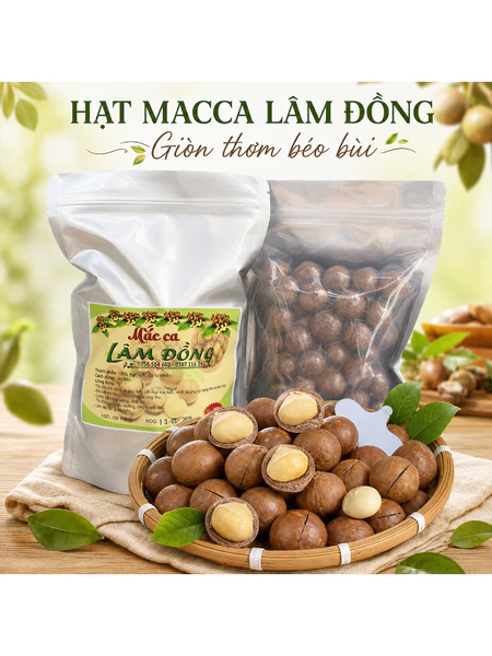 Hạt Macca Nứt Vỏ 500g Size Trung – Macca Lâm Đồng Sấy Chín, Giòn Thơm Béo Bùi, Hạt Dinh Dưỡng
