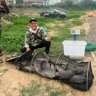 [BĐSH] Hương Liệu Dụ Rô Siêu Tốc: Đặc Trị Cá Rô Phi vị Thơm Tanh