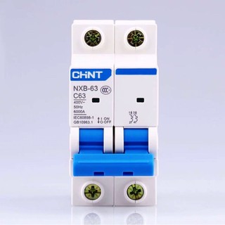 CB, MCB, Aptomat, Cầu dao Chint 2 pha từ 1A - 63A