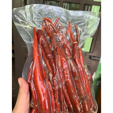 1kg Sâm Cau Đỏ - Đã Làm Sạch Đóng Túi Hút Chân Không, Có Bảo Quản Tửu, Hàng Tự Nhiên, Chất Lượng Ca