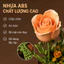 Hoa Hồng Vĩnh Cửu Lắp Ráp 255 Mảnh - Không Cần Tưới Nước, Luôn Tươi Đẹp, Trang Trí Sang Trọng Cao 26cm