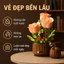 Hoa Hồng Vĩnh Cửu Lắp Ráp 255 Mảnh - Không Cần Tưới Nước, Luôn Tươi Đẹp, Trang Trí Sang Trọng Cao 26cm