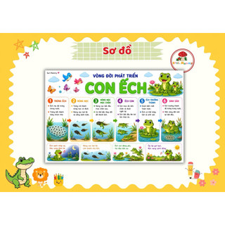 Quá Trình Phát Triển Thực Vật & Vòng Đời Động Vật | Học Liệu Montessori STEM Cho Bé 3-10 Tuổi