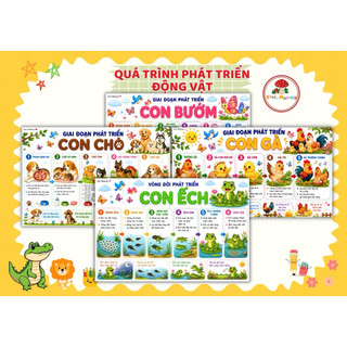 Quá Trình Phát Triển Thực Vật & Vòng Đời Động Vật | Học Liệu Montessori STEM Cho Bé 3-10 Tuổi