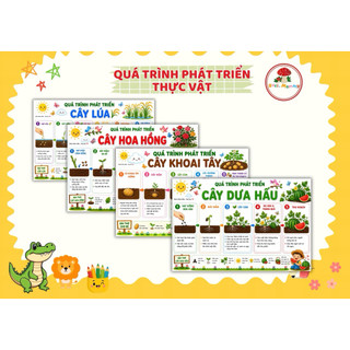 Quá Trình Phát Triển Thực Vật & Vòng Đời Động Vật | Học Liệu Montessori STEM Cho Bé 3-10 Tuổi