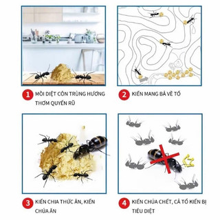 MỒI DIỆT KIẾN COMBO 10 GÓI | BẢ KIẾN DẠNG BỘT DẪN DỤ KIẾN MANG VỀ TỔ HỖ TRỢ KIỂM SOÁT KIẾN