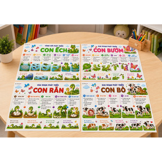 Quá Trình Phát Triển Thực Vật & Vòng Đời Động Vật | Học Liệu Montessori STEM Cho Bé 3-10 Tuổi