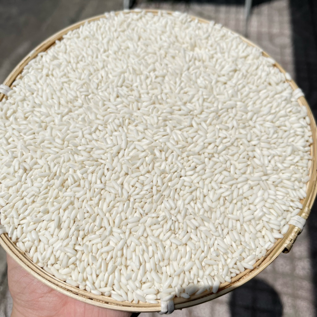 Nếp Sáp Ngỗng Long An - dẻo ngon, làm xôi, làm bánh