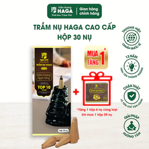 Nụ nhang trầm hương tự nhiên HAGA CAO CẤP, thu hút tài lộc, xông nhà tẩy uế, đốt bàn thờ, 30 nụ/30p