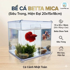 Bể Cá Betta Mica Siêu Trong HIện Đại 15x20x18cm