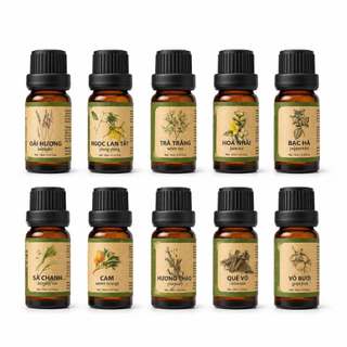 Tinh Dầu Thiên Nhiên 10ml Aroma Life Vietnam - Giá Tiết Kiệm Dùng Thử Sản Phẩm