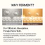 Tinh Chất Mixsoon Bean Essence Serum 50ml Đậu Nành Lên Men Giúp Dưỡng Ẩm Chuyên Sâu Hỗ Trợ Giảm Mụn Đầu Đen