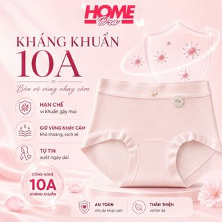 [HÀNG MỚI VỀ] Quần Lót Cotton Cạp Cao Ôm Mông Êm Ái, Quần Chip Nữ Đáy Kháng Khuẩn HOMEBRA L6017