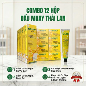 Combo 12 Hộp Dầu Xoa Bóp Muay Thái Lan (100gr/Hộp) - Kem Giảm Đau Xương Khớp, Giảm Căng Cơ Thể Thao Nội Địa