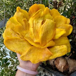 Combo Đồ Ăn Vặt Ngon Và Đẹp, Vừa Miệng Vừa Ví, Đã Đời, Đã Thèm, Đã Miệng, Đã Cơn, Đã Ghê