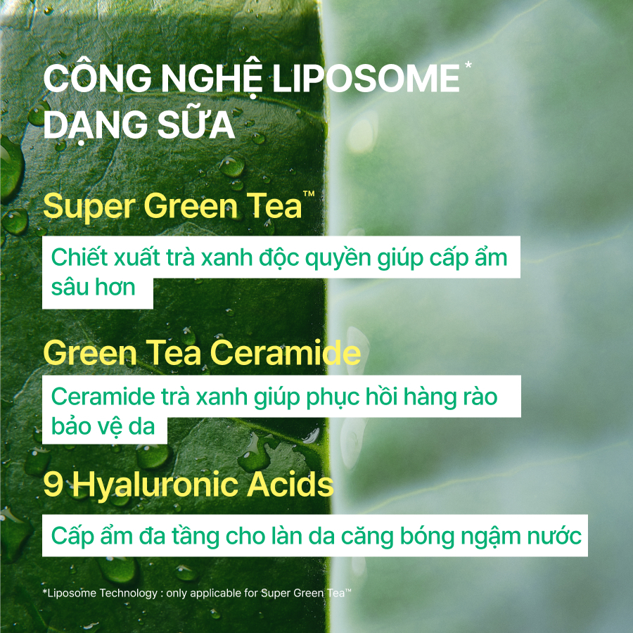 Mặt nạ trà xanh dạng sữa dưỡng ẩm chuẩn Hàn INNISFREE Green Tea Ceramide Milk K-Hydration Mask