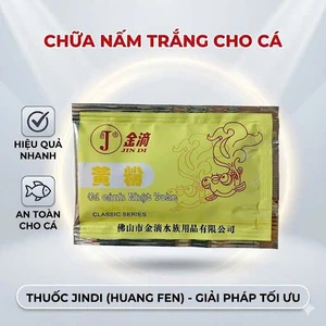 JINDI GÓI VÀNG a NẤM TRẮNG CHO CÁ
