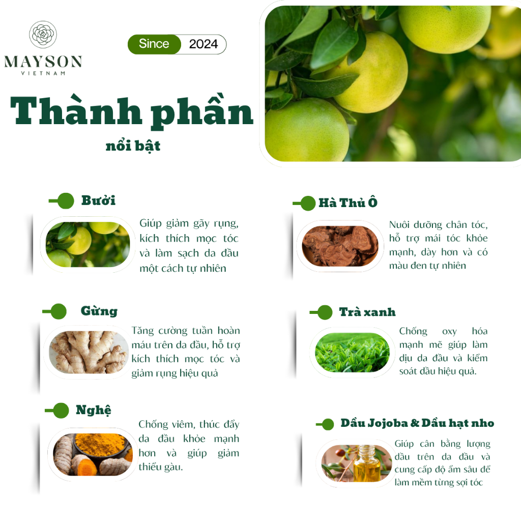 Combo 3 Cặp Dầu Gội Xả Thiên Nhiên MAYSON VIỆT NAM, Dầu Gội Đầu Thảo Dược Từ Bưởi Trà Xanh Hà Thủ Ô