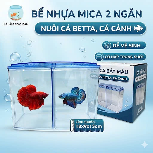 Bể Nhựa Mica 2 Ngăn Nuôi Cá Betta, Cá Cảnh Có Ngăn (18x9x13cm)