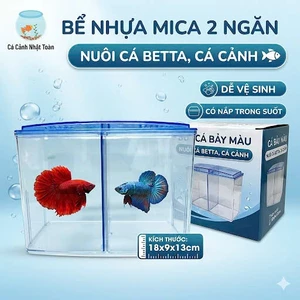 Bể Nhựa Mica 2 Ngăn Nuôi Cá Betta, Cá Cảnh Có Ngăn (18x9x13cm)