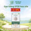 Gạo trắng hữu cơ ST25 Hoa Sữa, Hoa Nắng
