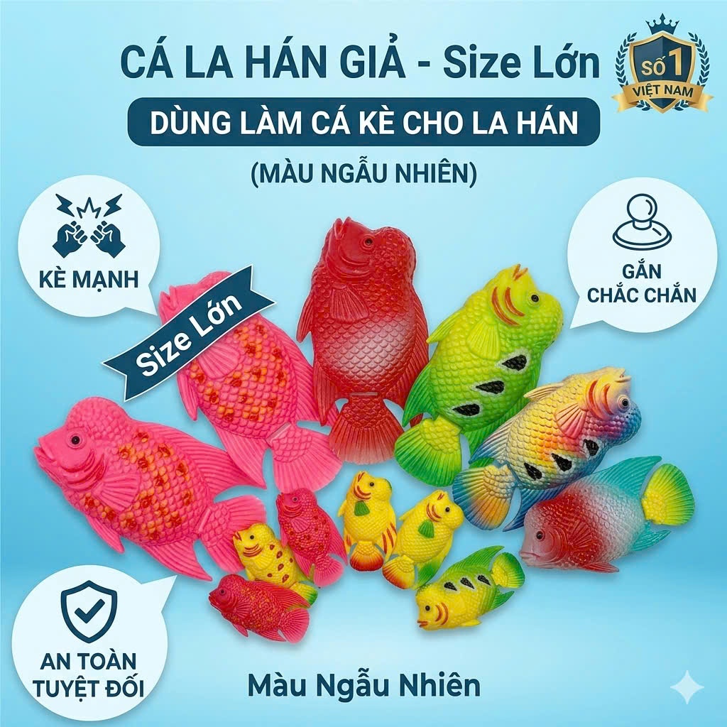 CÁ LA HÁN GIẢ LỚN LÀM CÁ KÈ CHO LA HÁN (MÀU NGẪU NHIÊN)