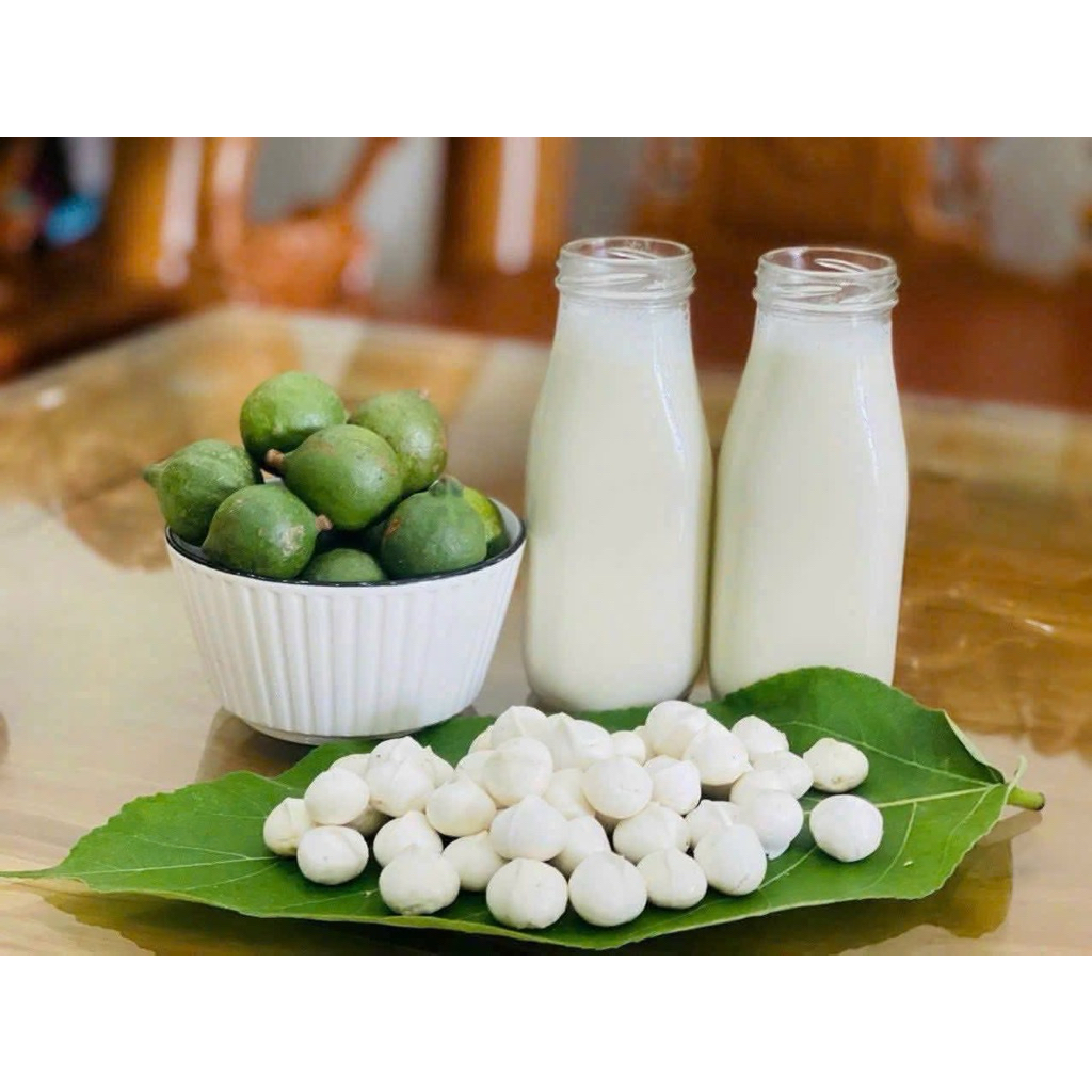 Macca Lai Châu Tươi Nguyên Vỏ Vụ Mới | Hạt Già Ngọt Bùi Béo Ngậy Làm Sữa Hạt Ăn Healthy 1kg