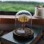 Đèn Ngủ Mini Trang Trí Các Loại Sinh Vật Biển