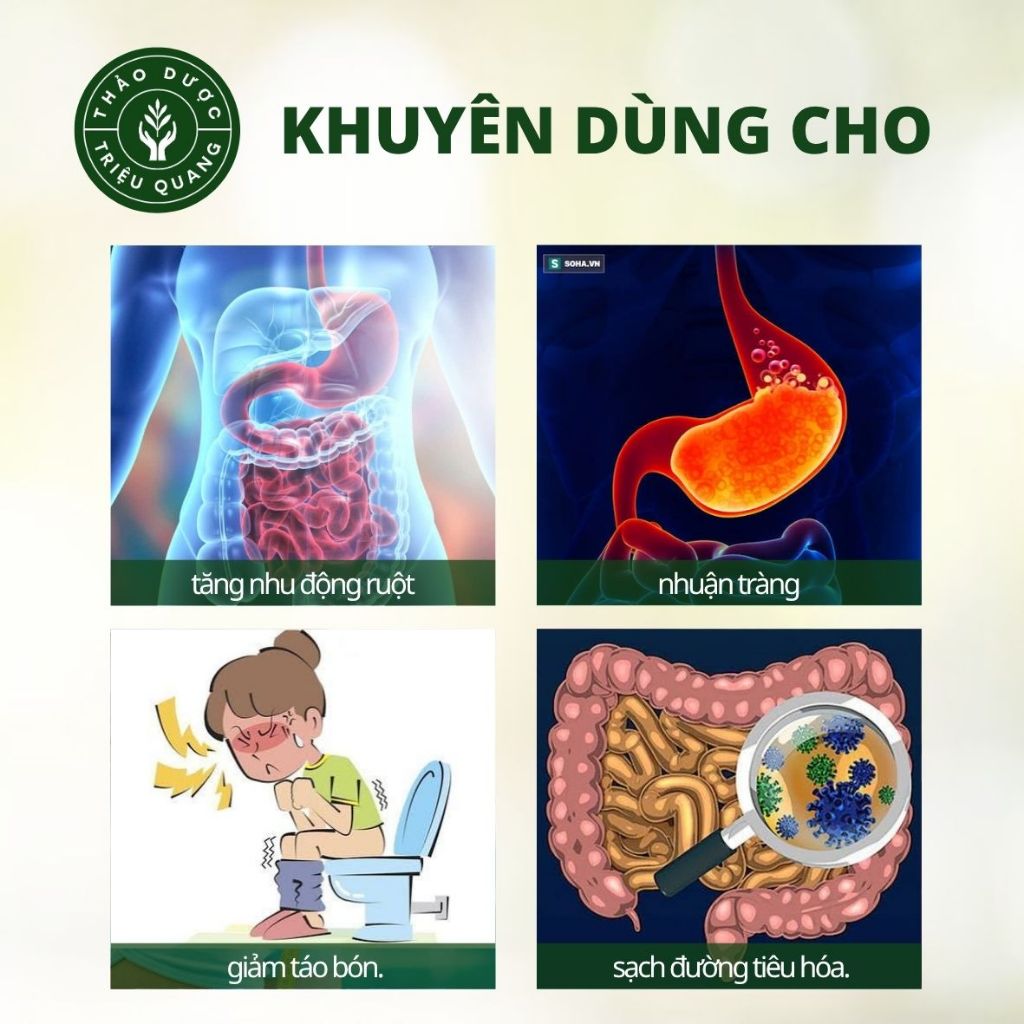 Trà Túi Lọc Phan Tả Diệp - Thảo Mộc Từ Thiên Nhiên - Triệu Quang 30 Lọc