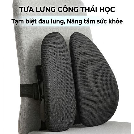 Đệm Lưng Công Thái Học Giảm Đau Lưng, Chống Gù, Chống Đai Lưng Cột Sống