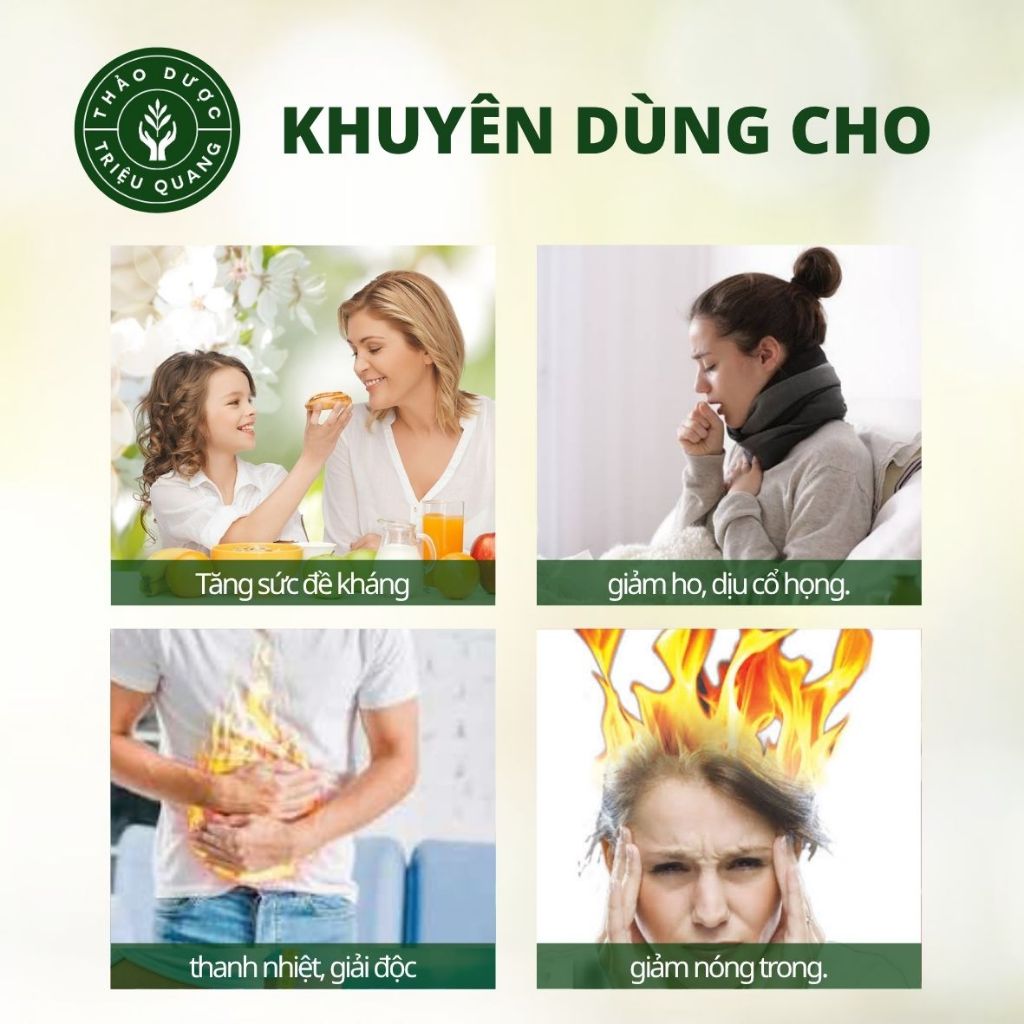 Trà Túi Lọc Cây Dòi Tím - Bổ Phổi, Bí Quyết Cho Lá Phổi Khỏe Mạnh - Triệu Quang 30 Lọc