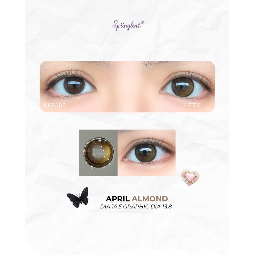 Kính áp tròng hiệu ứng AP ALMOND (April) style Douyin nâu hạt dẻ giãn tròng 1 tháng | Spring Lens