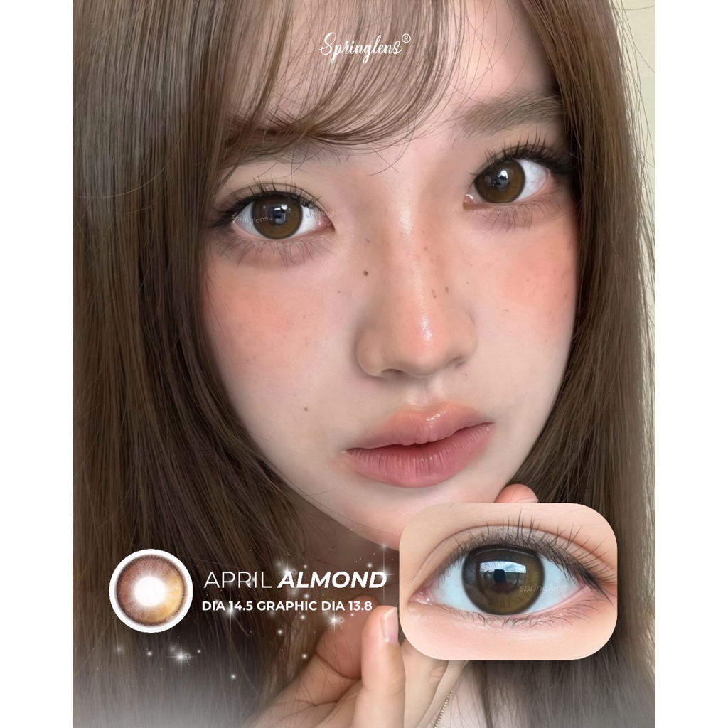 Kính áp tròng hiệu ứng AP ALMOND (April) style Douyin nâu hạt dẻ giãn tròng 1 tháng | Spring Lens