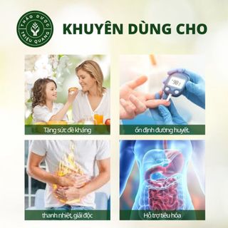 Trà Búp Ổi Giảm Cân, Mỡ Máu, Ngừa Tiểu Đường, Triệu Quang Gói 30 Túi Lọc