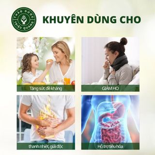 Trà Tía Tô Túi Lọc - Hỗ Trợ Gout, Đau Nhức Xương Khớp, Giải Cảm, Căng Thẳng - Triệu Quang Túi 30 Lọc