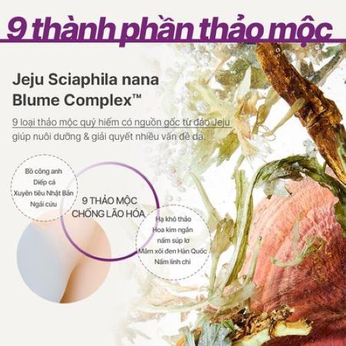 Nước cân bằng ngăn ngừa lão hóa chuyên sâu INNISFREE Perfect 9 Intensive Skin 200 ML