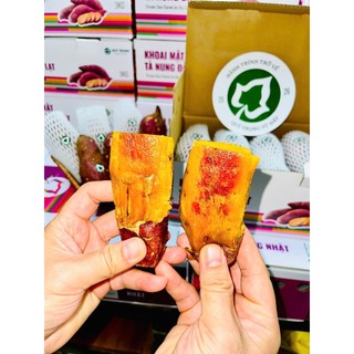 Size Nướng Nồi Chiên Không Dầu - Khoai Mật Tà Nung Tươi Qúy Trọng, Nướng Dẻo Ngọt Chảy Mật | Thùng 3kg