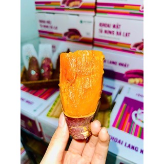Size Nướng Nồi Chiên Không Dầu - Khoai Mật Tà Nung Tươi Qúy Trọng, Nướng Dẻo Ngọt Chảy Mật | Thùng 3kg