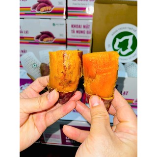 Size Nướng Nồi Chiên Không Dầu - Khoai Mật Tà Nung Tươi Qúy Trọng, Nướng Dẻo Ngọt Chảy Mật | Thùng 3kg