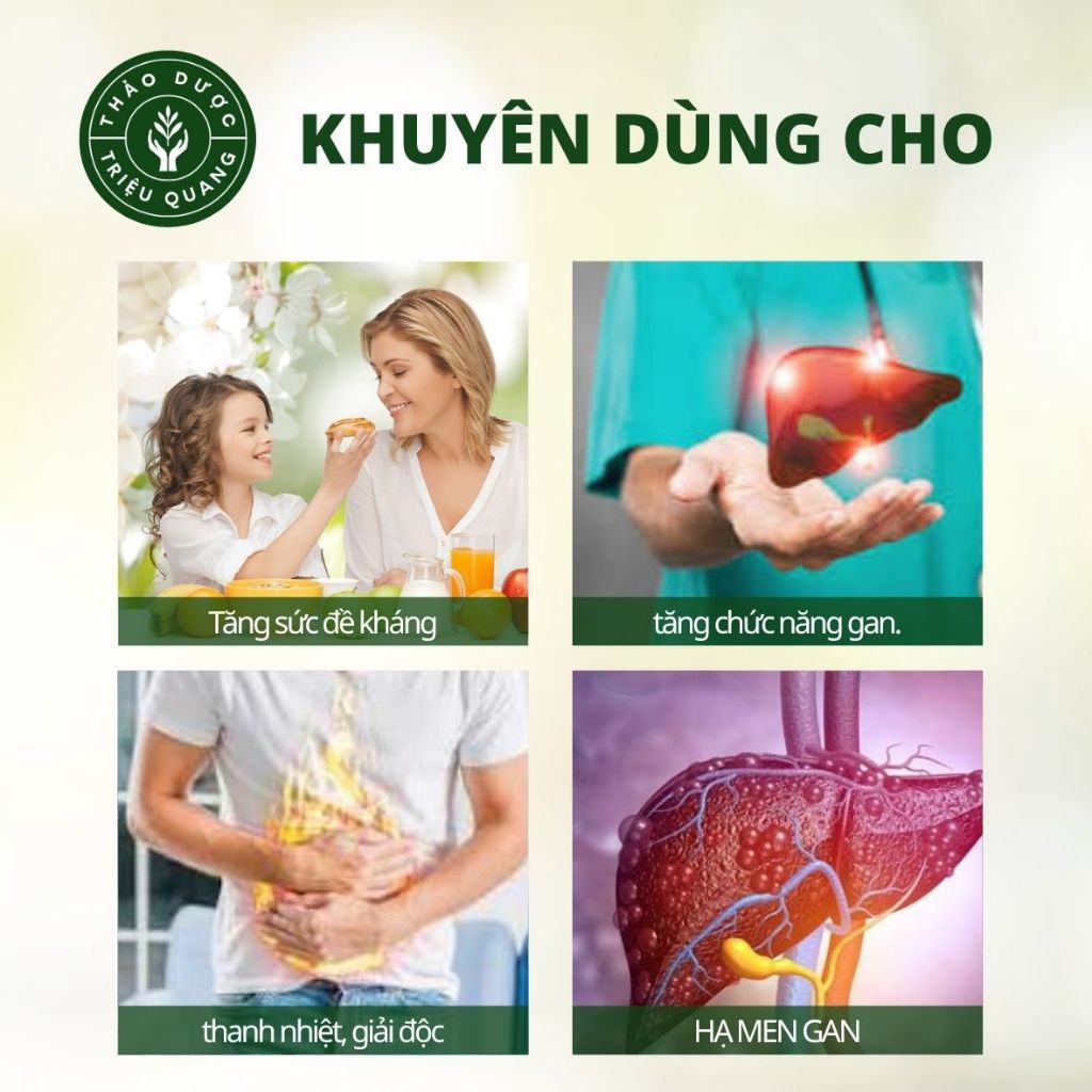 Trà Cà Gai Leo Túi Lọc - Mát Gan, Thanh Nhiệt - Triệu Quang 30 Túi Lọc