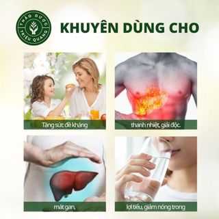 Trà Lá Nam 10 Vị Túi Lọc Triệu Quang 30 Gói - Trà Thảo Mộc, Túi Lọc Tiện Dụng, Hương Vị Thanh Mát