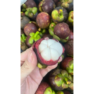 Măng Cụt Bi - 1kg