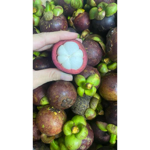 Măng cụt bi set 3kg