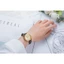 Đồng Hồ Nữ SRwatch SL1906.4907TE