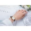 Đồng Hồ Nữ SRwatch SL1906.4602TE