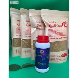 combo 4 quái chép tặng 1 tạo rong