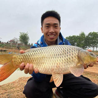 [BĐSH] COMBO 3 Lọ Tơ Nhện - Kết Dính Mồi Câu Cá Không Mùi tạo Trạng Thái Mồi Hoàn Hảo